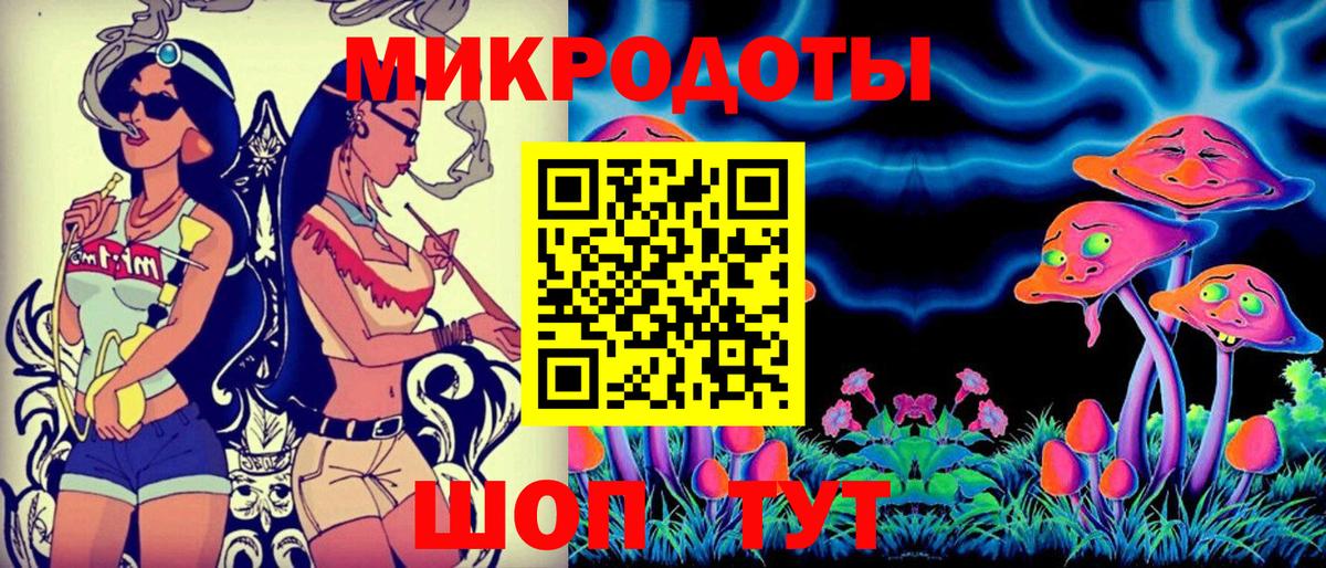 Псилоцибиновые грибы Psilocybine cubensis Ачхой-Мартан