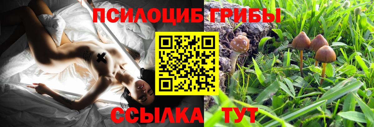 Псилоцибиновые грибы Magic Shrooms Ачхой-Мартан