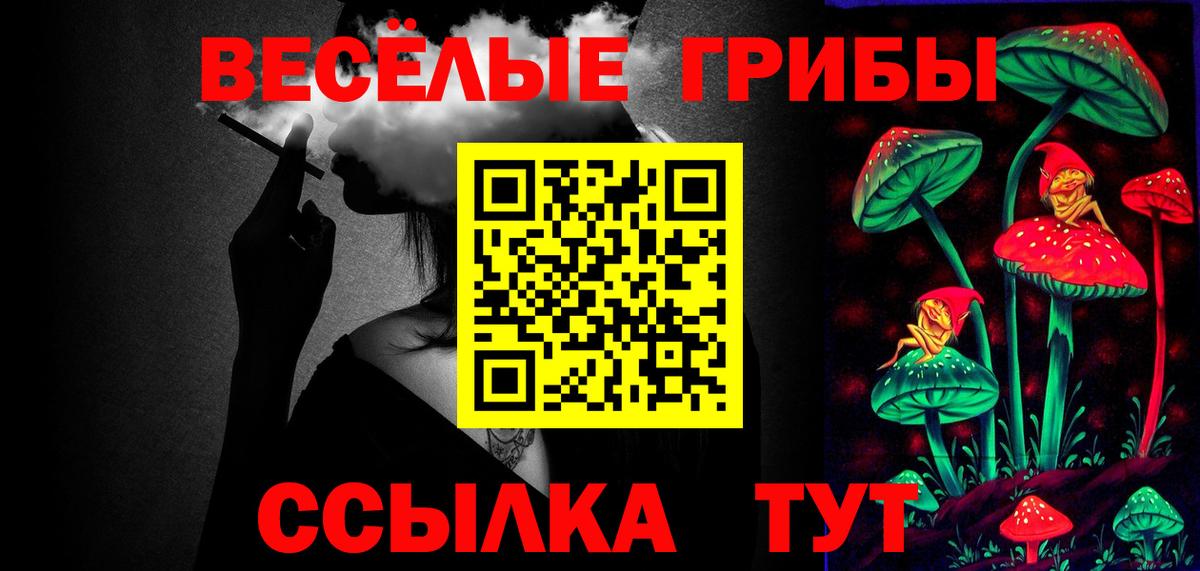 Псилоцибиновые грибы мухоморы  Вход с VPN  цена наркотик  Ачхой-Мартан  Псилоцибиновые грибы MAGIC MUSHROOMS 